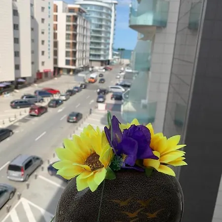 A & I Summerland Apartment Mamaia